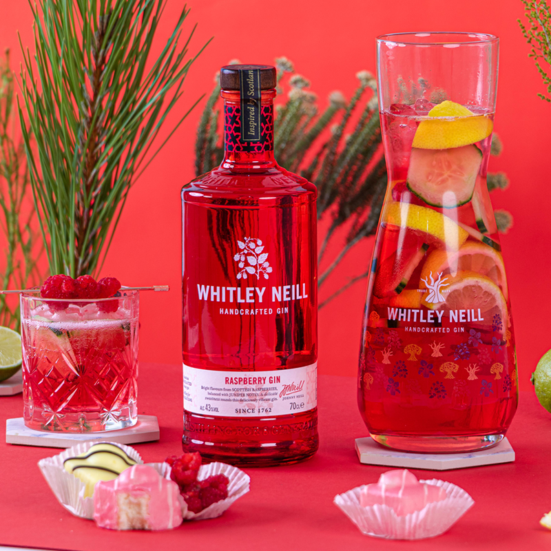 Sharing jug cocktail made with Whitley Neill Raspberry Gin and lemonade with a dash of fruity craberry juice. 